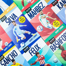 Tales from the Pitch Football Superstar Heroes 20 Books Collection Set By Harry Coninx and Matt Carver